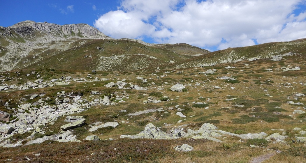 Auf der Alp Caschlé mit Piz Caschlè
