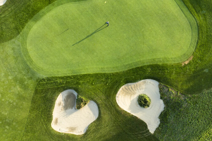 Buna Vista Golf, Sagogn (oua_628487285_image)