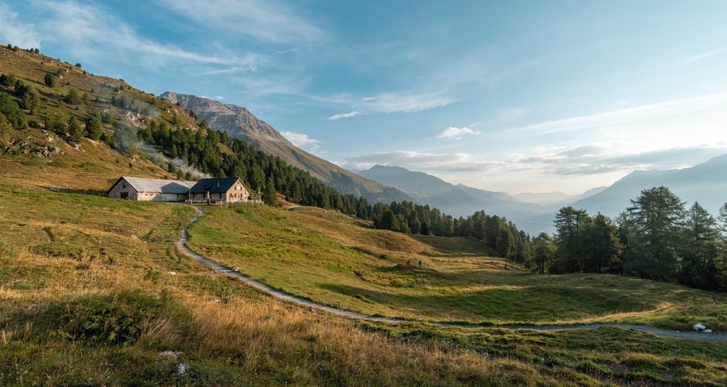 Alp Beizli Laret (oua_628915714_image)