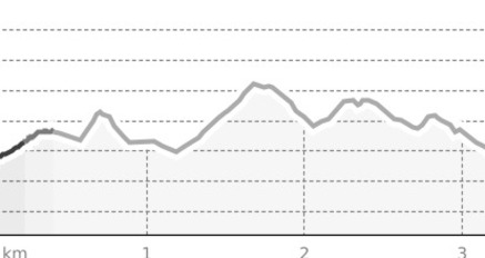 FIS Loipe Bual / Nachtloipe (oua_62905867_6e4f686_profile)