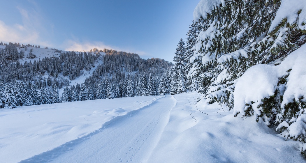 Winterwandern Richtung Prodalp