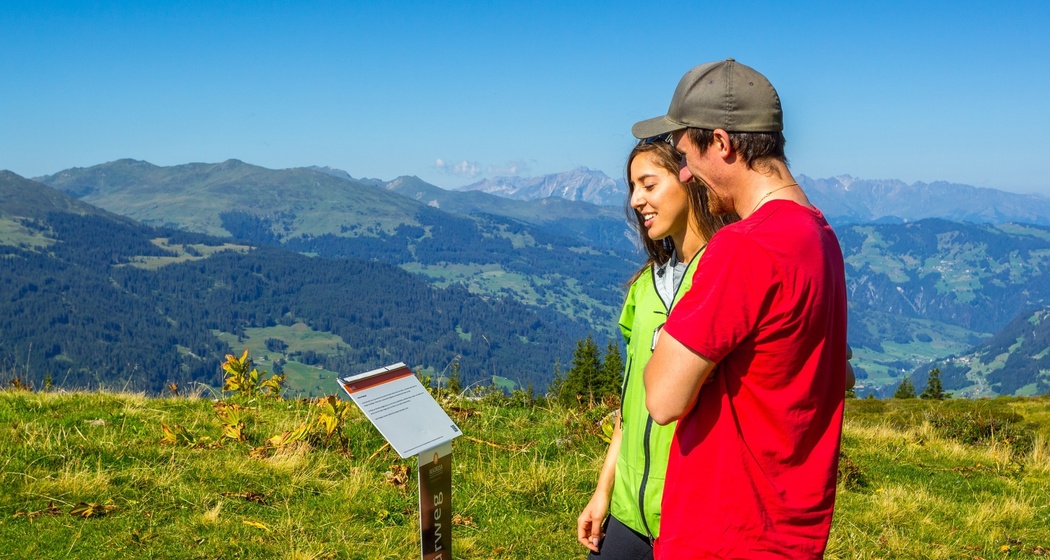 Energie-Spürweg Madrisa (oua_62943845_image)