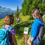 Heilkräuterweg Madrisa (oua_62944036_image)