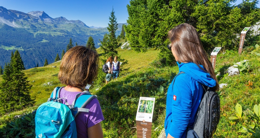 Heilkräuterweg Madrisa (oua_62944036_image)