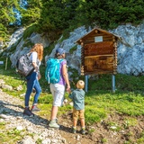 Heilkräuterweg Madrisa (oua_62944041_image)
