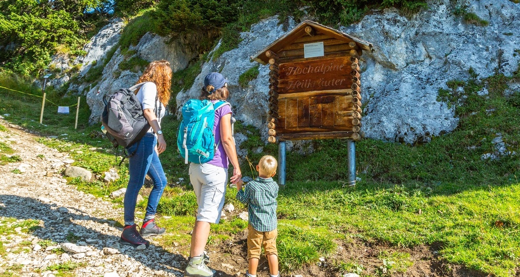 Heilkräuterweg Madrisa (oua_62944041_image)