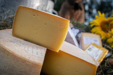 Hof Mulin in Castrisch (oua_62948503_image)