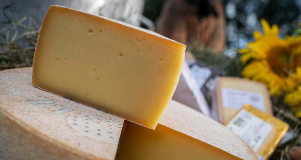 Hof Mulin in Castrisch (oua_62948503_image)