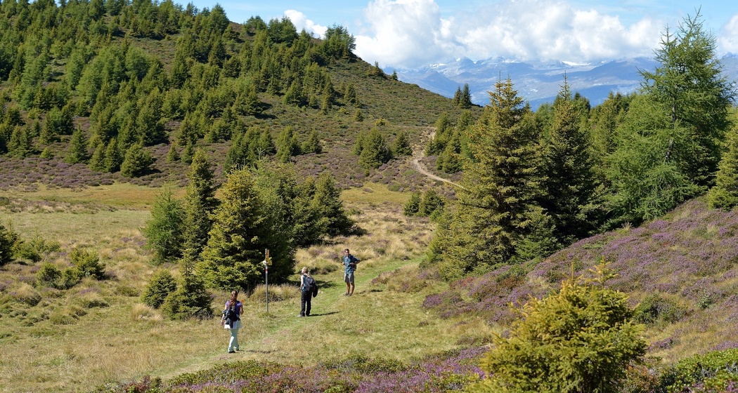 J - GPS Brambrüesch - Pradaschier (oua_629663613_image)