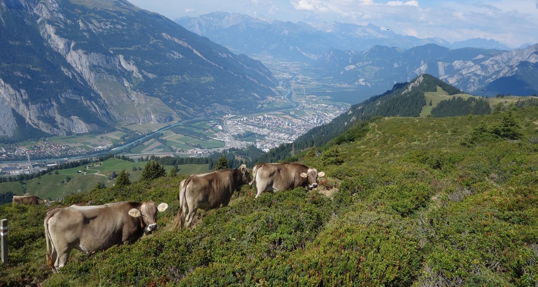 J - GPS Brambrüesch - Pradaschier (oua_629663617_image)