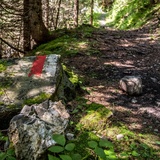 Sentiero del villaggio di Pagig-Castiel_Schanfigger