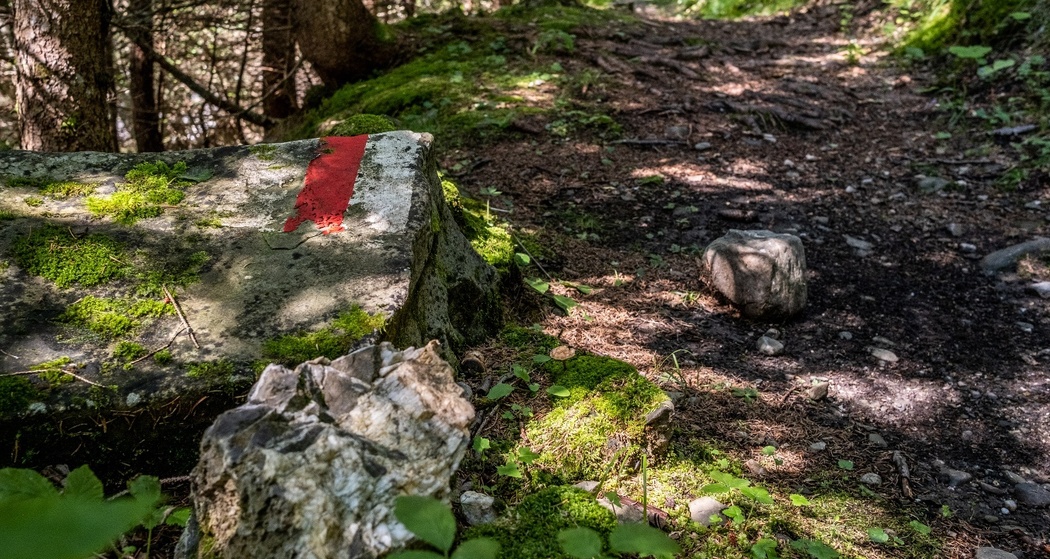 Pagig-Castiel_Schanfigger Dörferweg