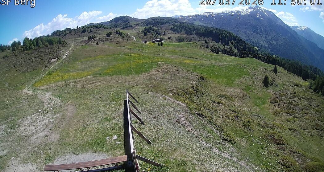 oua (630713285)