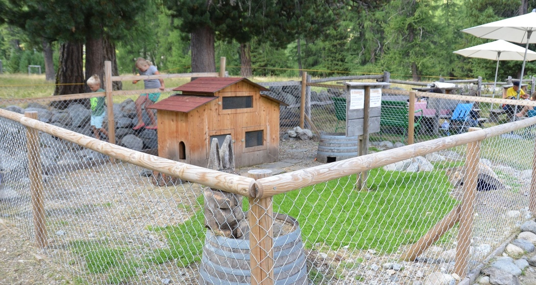 Kinderspielplatz Alp Schaukäserei (oua_63105599_image)