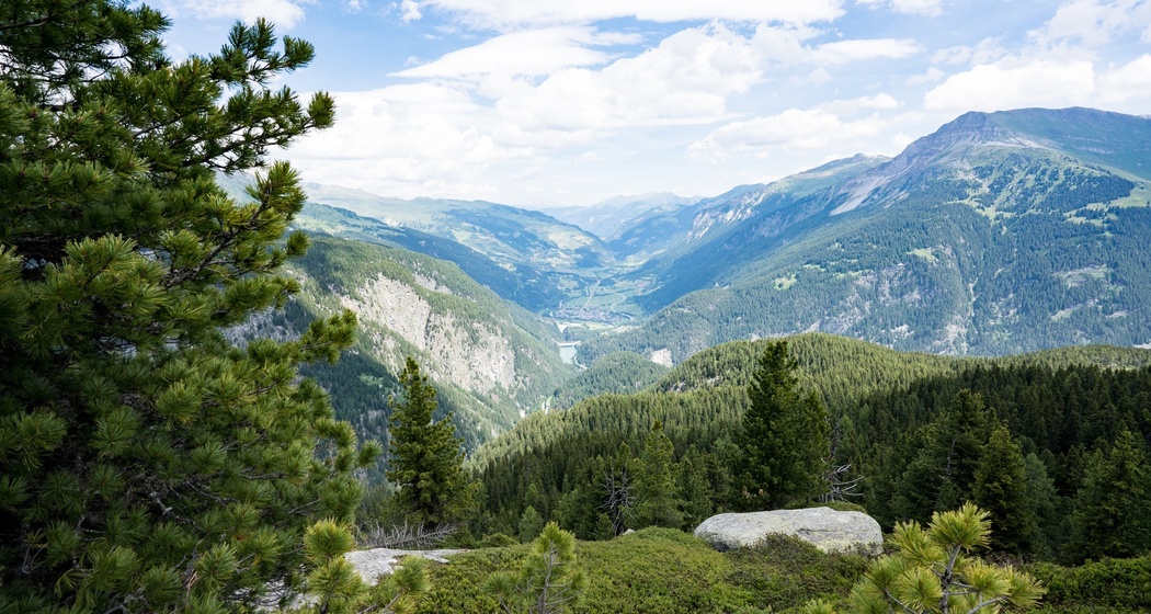 Aussicht vom Schwarzwald oberhalb Alp Nursera ins Val Schons