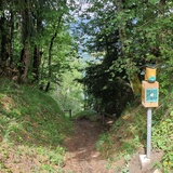 oua (631707569)