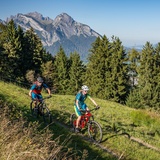 Genussvolle Panoramafahrt