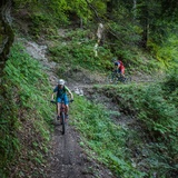 Singletrail im Valeistobel