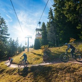 Der einfache Trail BlueSalamander ist Teil der Route