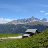 oua (631969563)