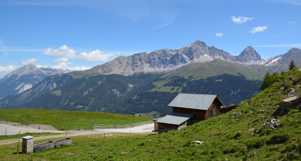 oua (631969563)
