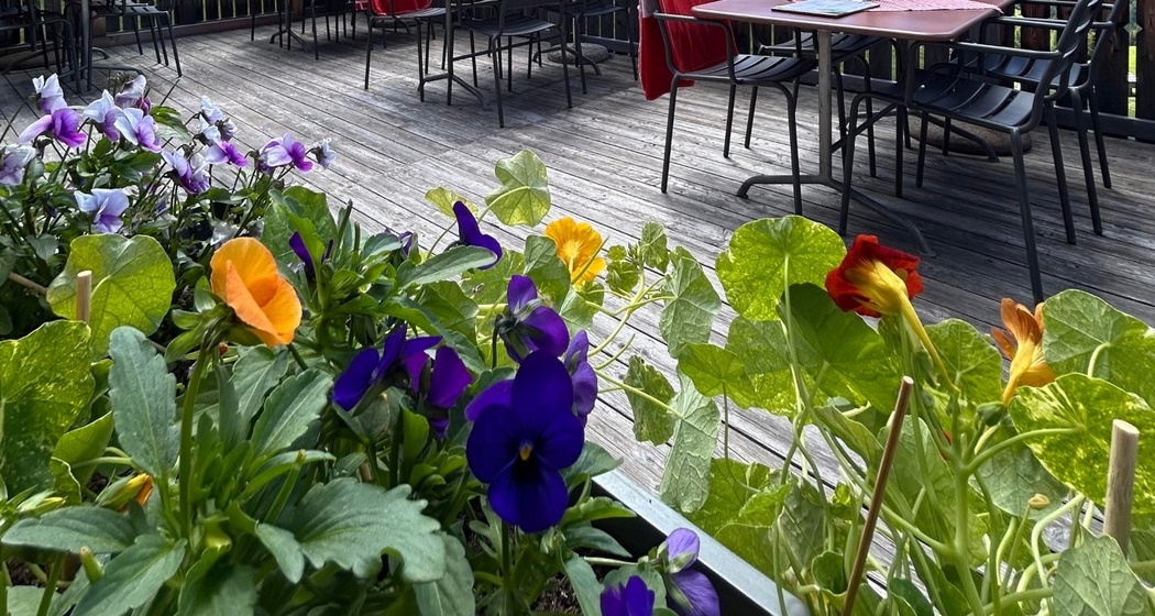 Terrasse1