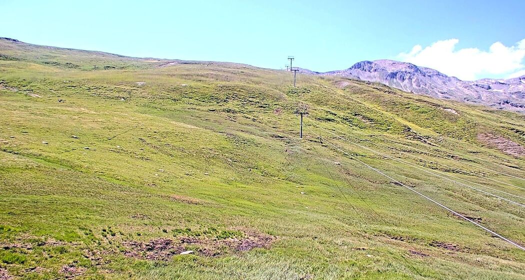 oua (633134810)