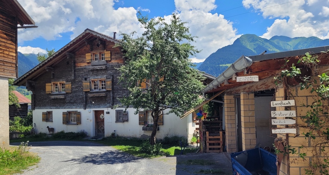 Ferienwohnung Arpagaus - Ansicht Haus