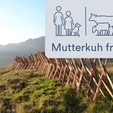 Glaspass Mutterkuh frei
