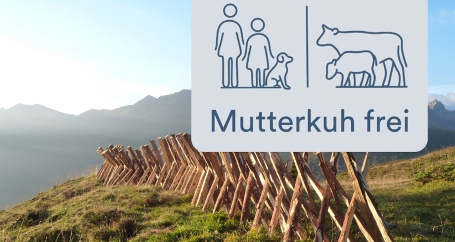Glaspass Mutterkuh frei