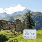 Burg Splügen