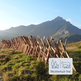Glaspass Mutterkuh frei