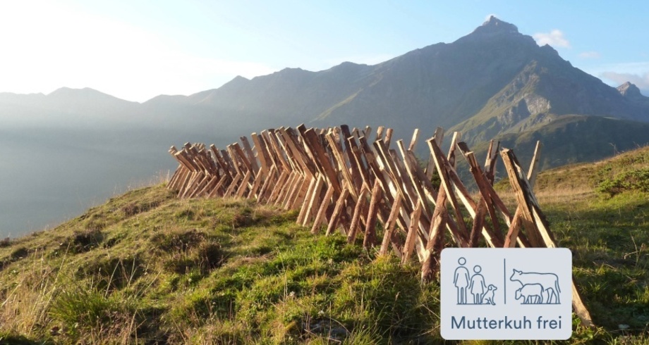 Glaspass Mutterkuh frei