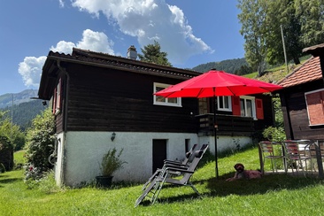 Garten mit Liegestühle