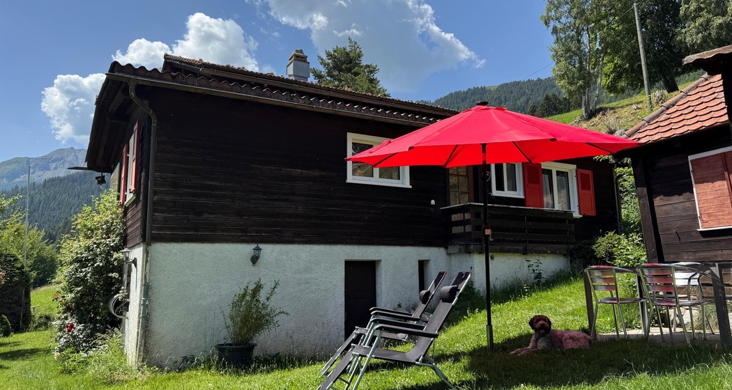 Garten mit Liegestühle
