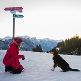 Winter hiking with your dog