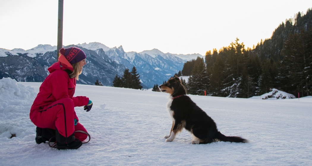 Winterwandern mit Hund