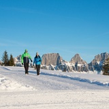 Randonnée hivernale Prodalp