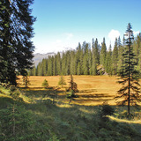 Raised bog hike St. Antönien Grossried