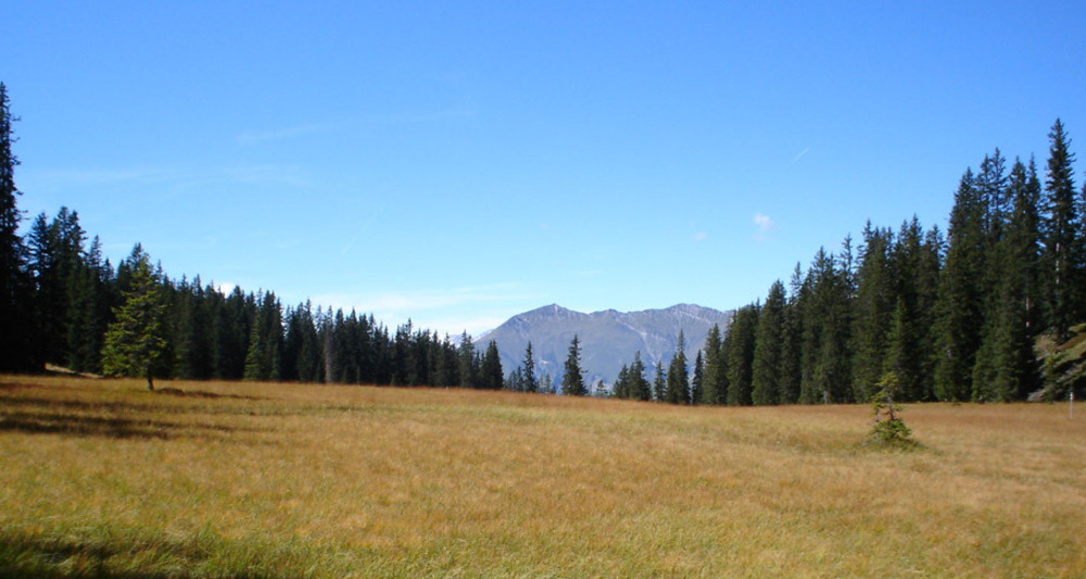 Hochmoorwanderung St. Antönien Grossried