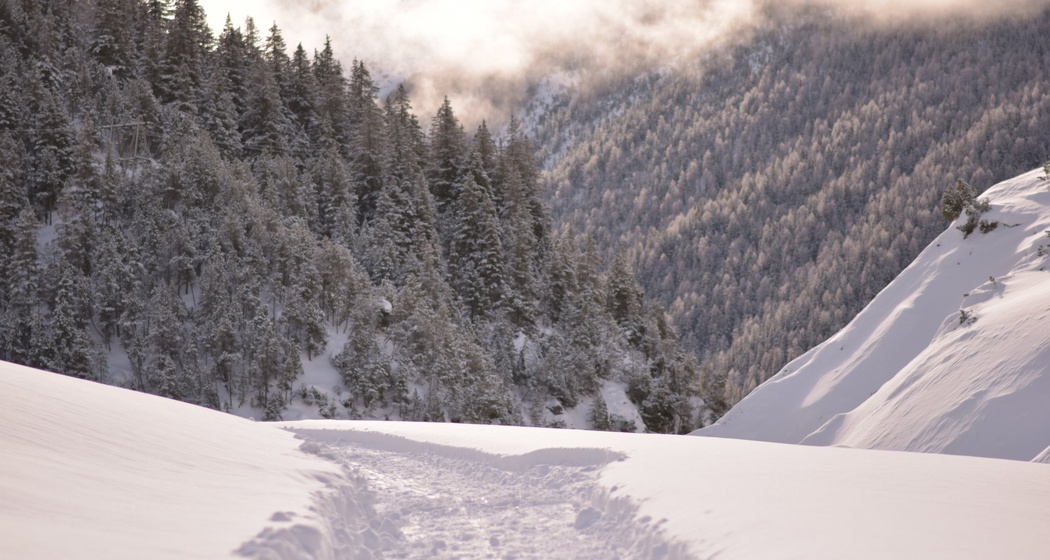 Winterwandern im Val S-charl
