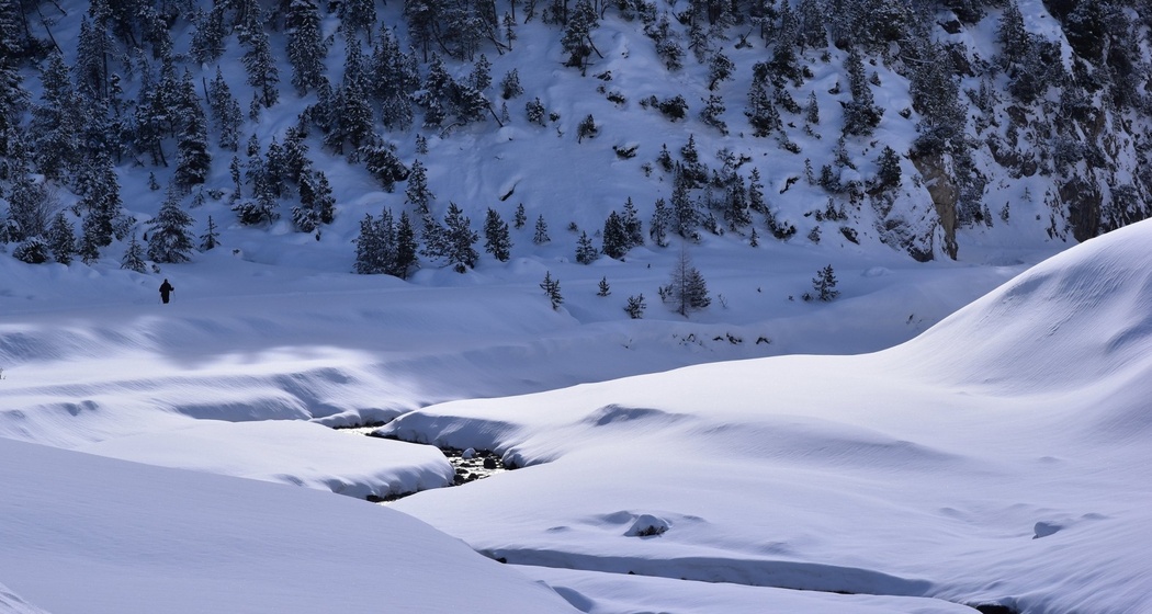 Winterwandern im Val S-charl