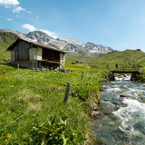oua (635533636)