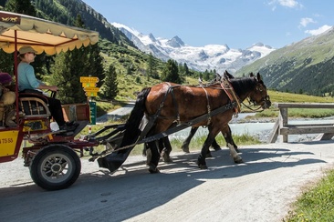 Kutschenfahrten ins Val Roseg