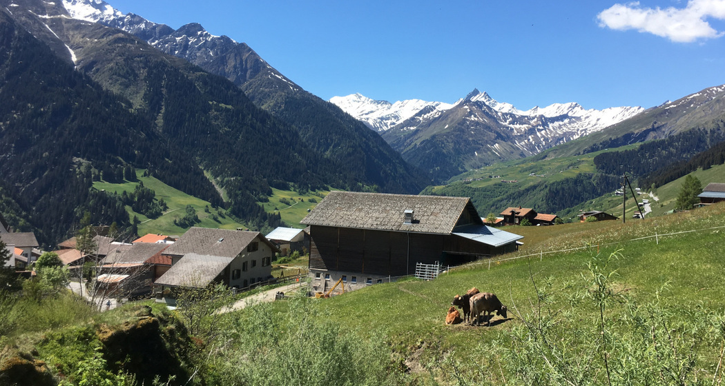 Biohofladen Gir Grond