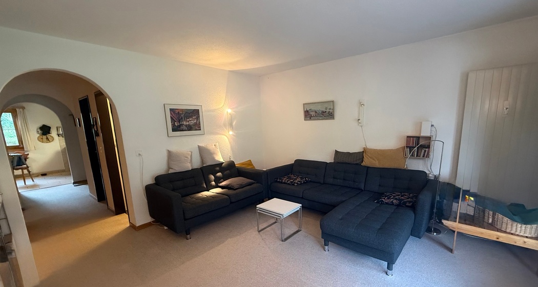 Die Wohnzimmer