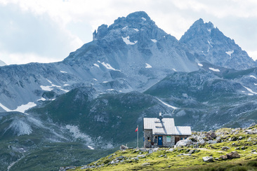 Anarosa (oua_63686419_image)