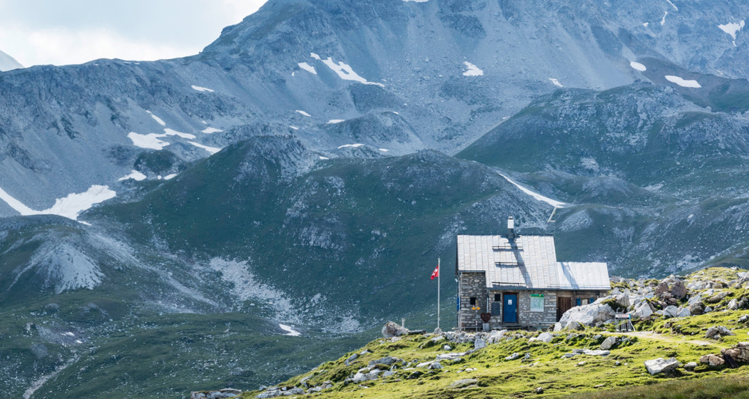 Anarosa (oua_63686419_image)