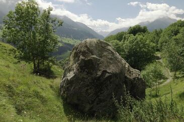oua (637344008)