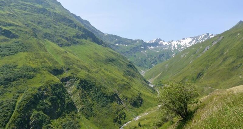oua (637344349)